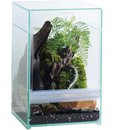 Amazon | □レインフォレストタンク 60×45×45 180サイズ 沖縄